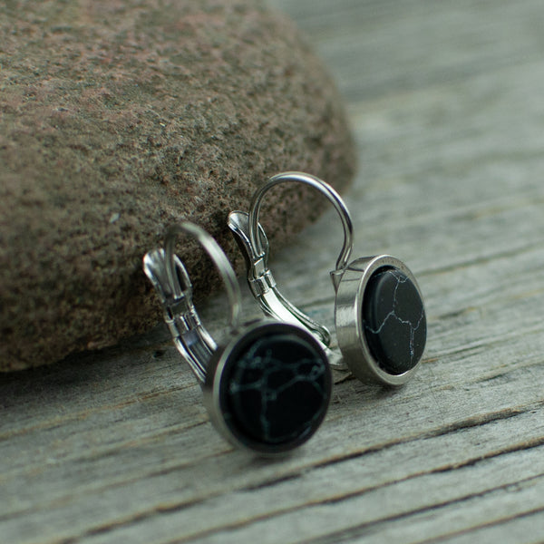 Black 10mm stainless steel French hook earrings