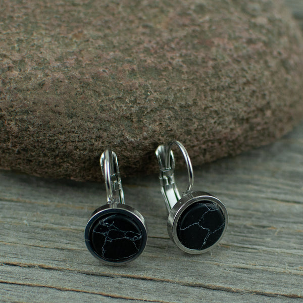 Black 10mm stainless steel French hook earrings