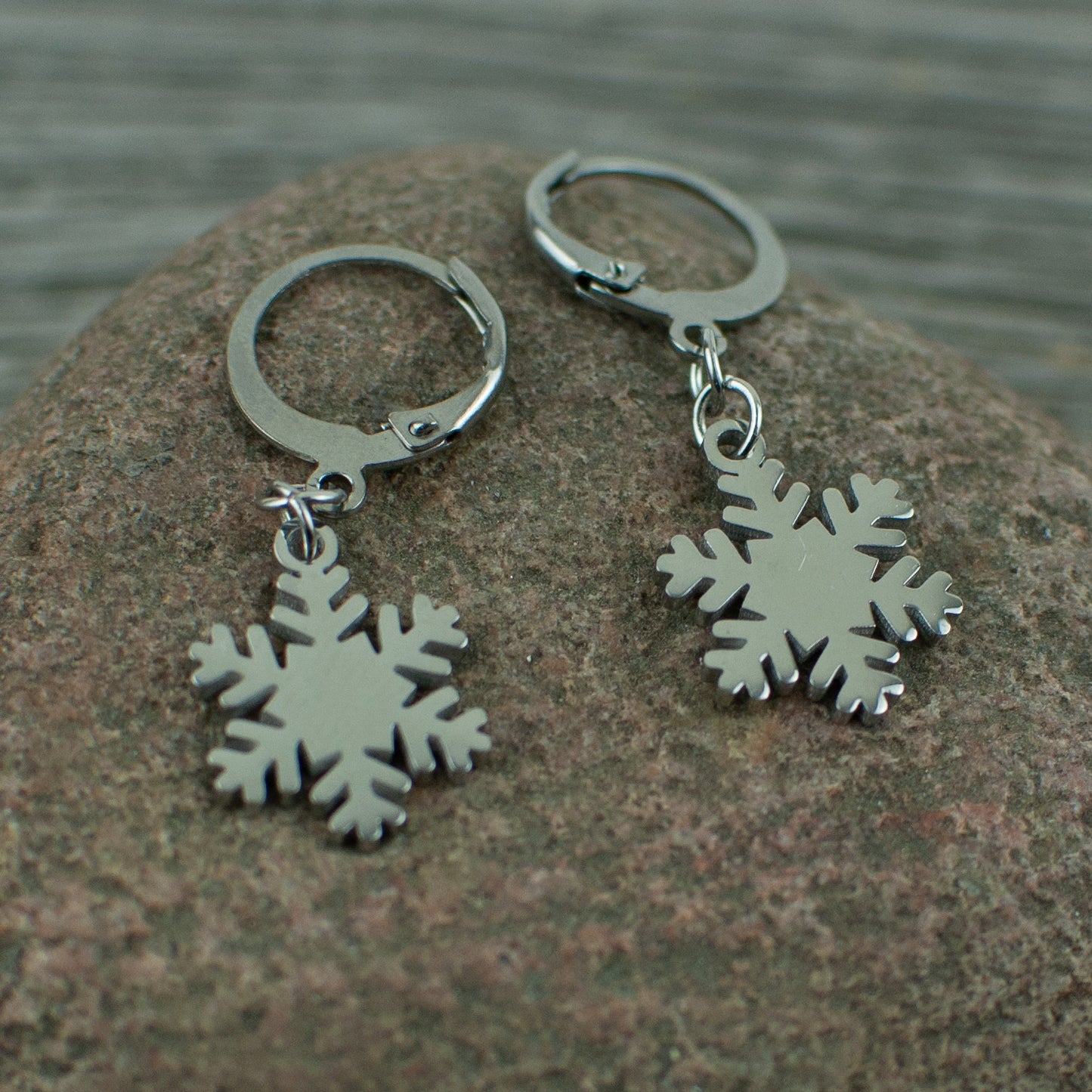 Snowflake Stainless steel earrings - Lisa Young Design