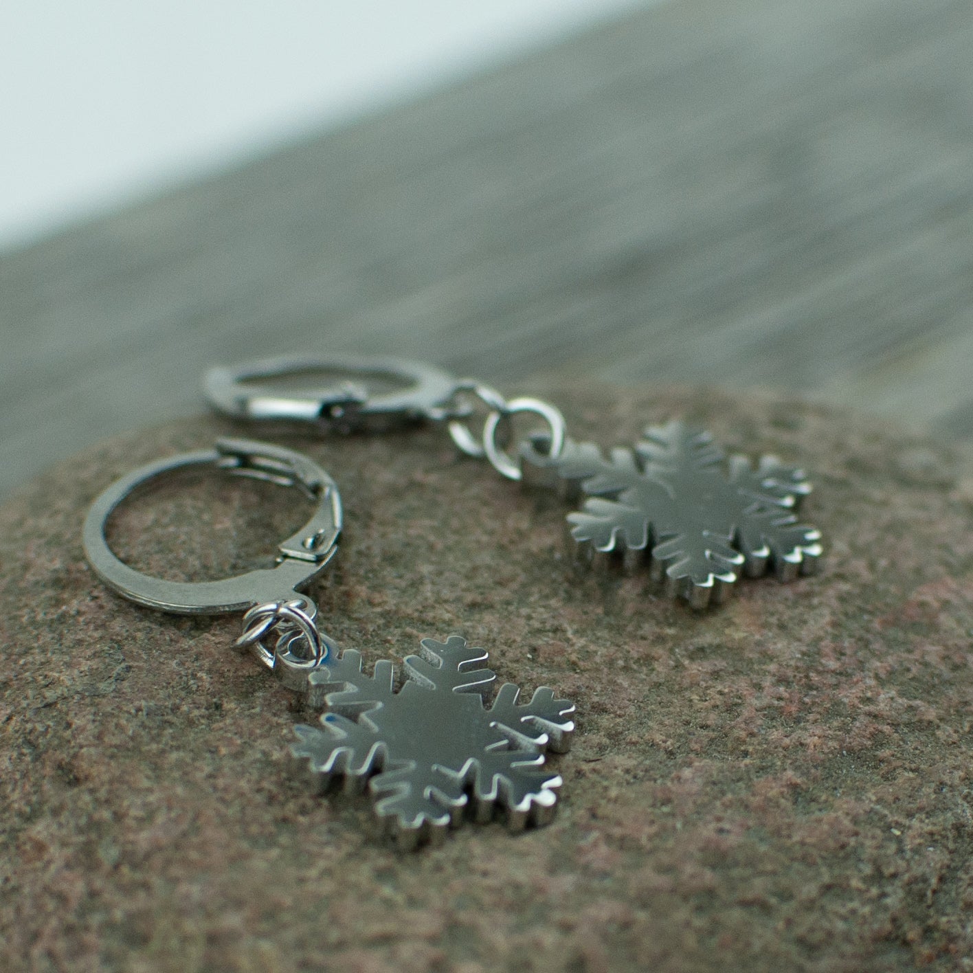 Snowflake Stainless steel earrings - Lisa Young Design