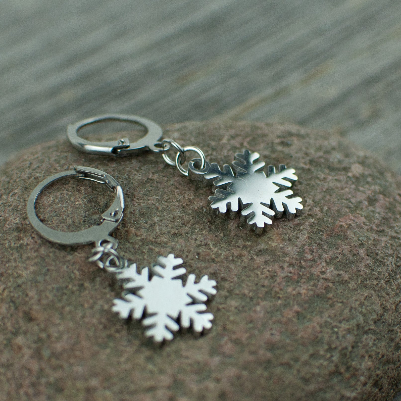 Snowflake Stainless steel earrings - Lisa Young Design